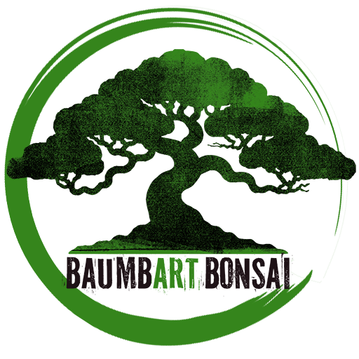 Baumbart Bonsai